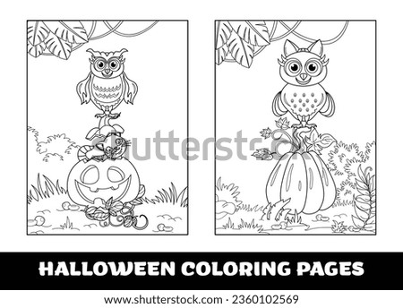Halloween Owl and umpkin coloring pages for kids. Pumpkin themed outlined for coloring page on white background..
