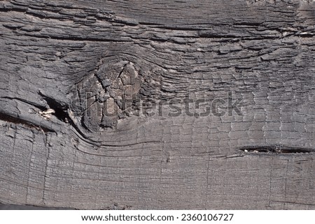 Burnt wooden plank background, texture of burnt fibers and knot of wood