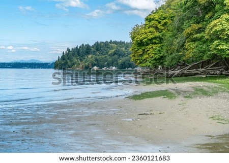 A landscape shot of trees along the shore at Dash Point State Park in Washington State. Royalty-Free Stock Photo #2360121683