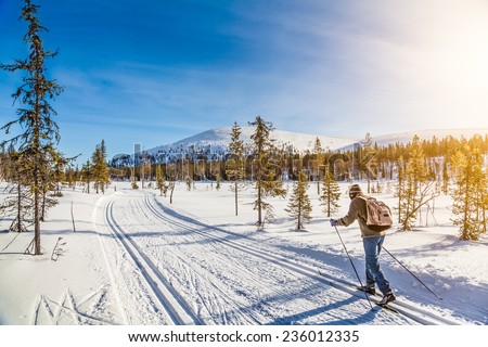 Panoramic view of male person cross-country skiing in beautiful nordic winter landscape in Scandinavia with blue sky and golden evening light at sunset, Europe Royalty-Free Stock Photo #236012335
