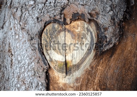 Wooden natural surface of the image of a heart. A natural symbol of love from bark.