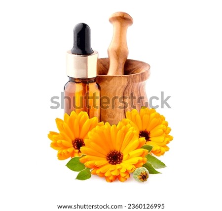Calendula. Flowers  isolated on white background. Calendula with essencial oil.