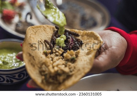 Chinicuiles and escamoles, Insects, typical Mexican food, which can be accompanied with sauce and tortilla as a taco