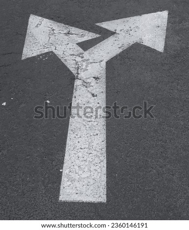 Two directional white arrow painted on the pavement