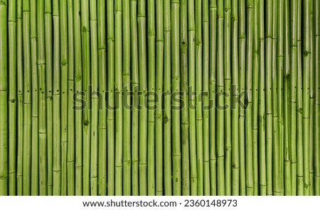architectural green bamboo wall for japanese mood decoration, interior or exterior design. old green bamboo plank fence texture used as background with blank space for design. Royalty-Free Stock Photo #2360148973