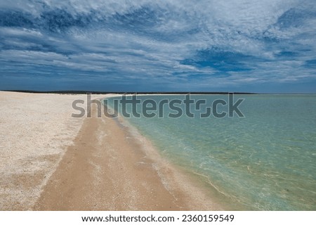 The 'Shell Beach', Shark Bay, Western Australia. A beach made up of millions of shells. North West Coastal Highway. Beautiful turquoise water in front of a beach made up of shells instead of sand. 