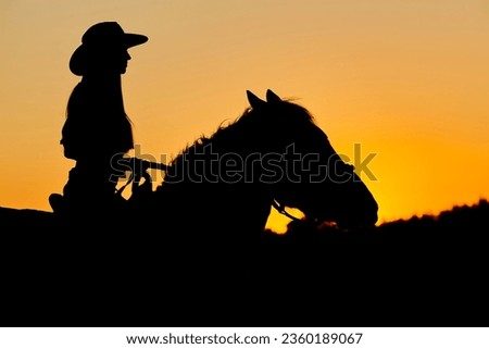 Silhouette of Cowboy, ride on Arabian horse stallion in colorful sunset. Romantic concept for safari background