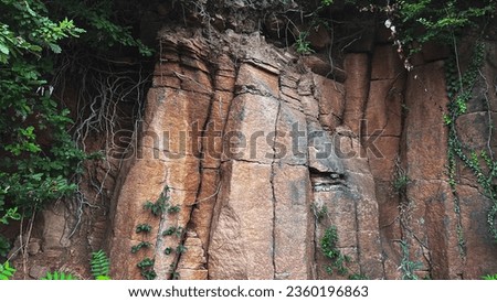 Column stones with ivy. Stone wall in the forest. natural stone wall
