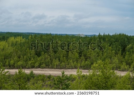 A view of the forest in the territory of Aidu quarry. Stacks of dolomite in the distance.