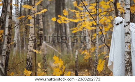 Halloween banner, autumn forest. Bedsheet Halloween costume and sunglasses