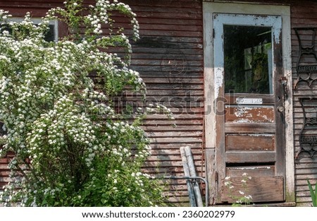 A rustic building has an employee only sign on the door, with a large flowering bush of bridal wreath