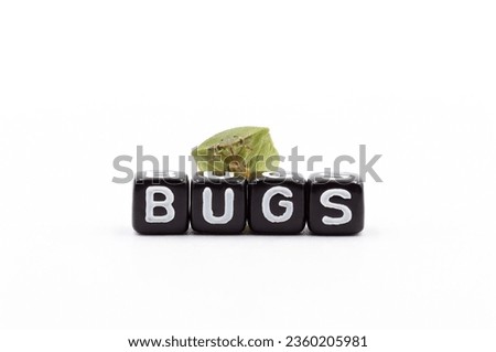 A bedbug or insect over the word bugs
