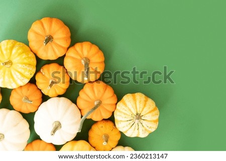 Halloween or thansgiving concept, orange and white pumpkins border on bright green background with copy space