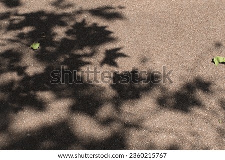 Dark shadow of tree branch with leaves on grey city street asphalt road into sun light