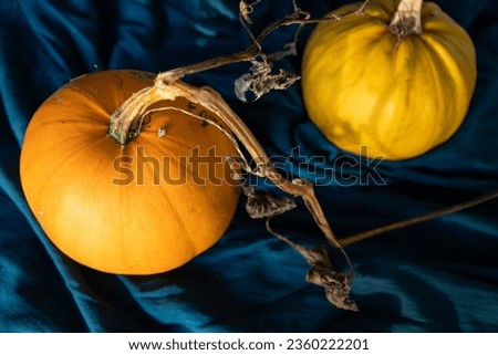 pumpkin on a dark blue halloween background