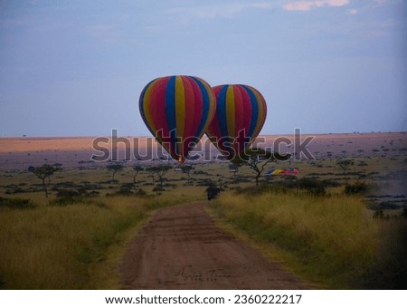 A beautiful shot of colorful air balloons in savanna with a skyline in the background