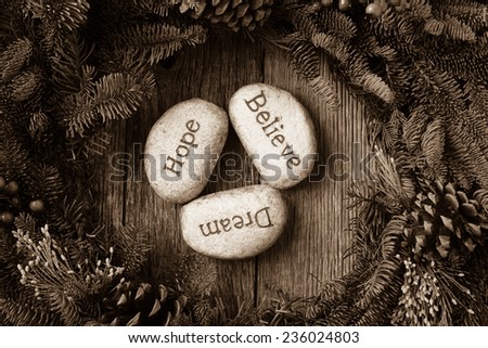 Hope, Dream, Believe in Text in the center of a Christmas Wreath