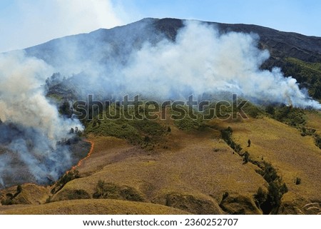 The current condition of Mount Bromo is when the savanna and Jemplang hills are burning, resulting in forest and land fires Royalty-Free Stock Photo #2360252707