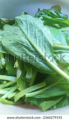 picture of green mustard greens
