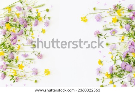 summer wild flowers on white paper background