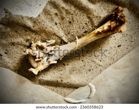 Picture of a chewed chicken bone with only a little bit of chicken meat attached to it, placed on a piece of brown parchment paper.