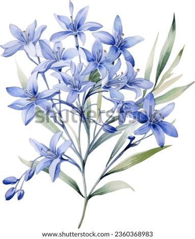 Agapanthus africanus Watercolor floral arrangements with beautiful African Lily flower, Watercolor floral bouquet.
