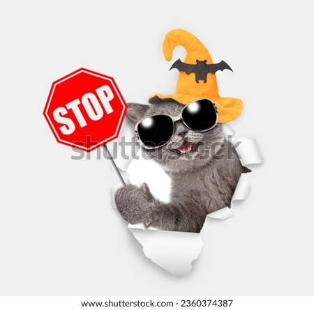 Happy cat puppy wearing hat for halloween looks through a hole in white paper and shows stop sign