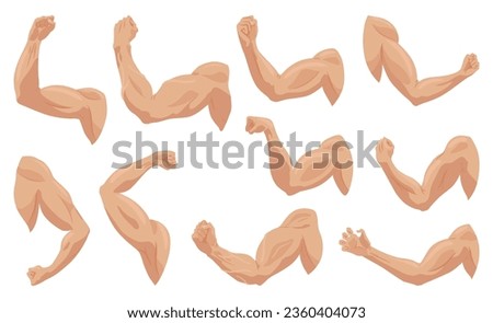 Male biceps muscles icons set. Sportsman arm with strong biceps. Vector symbol of healthy power. Athletic body with tense muscles hand isolated onwhite background Royalty-Free Stock Photo #2360404073