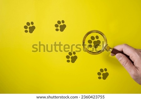 Man's hand holding a magnifying glass looking at dog or cat footprints on yellow background, pet search or tracking concept Royalty-Free Stock Photo #2360423755