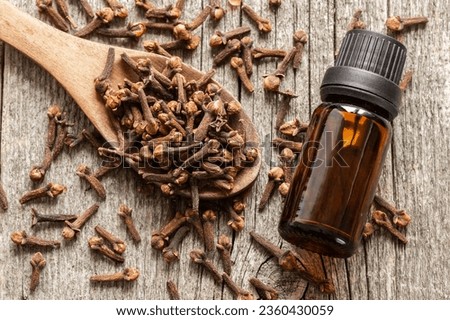 Close up glass bottle of essential clove oil and cloves in wooden spoon on rustic background. Herbs and spice oil concept  Royalty-Free Stock Photo #2360430059