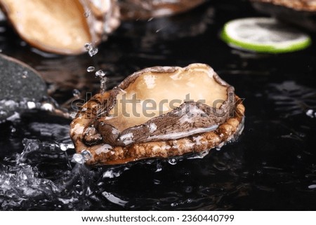 Abalone, ice cubes, fresh seafood food, black background, close-up Royalty-Free Stock Photo #2360440799