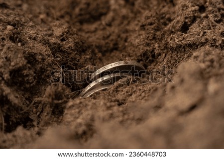 Antique silver coins sticking out of the ground. Search for jewels in the forest. An accidental find during construction. Royalty-Free Stock Photo #2360448703