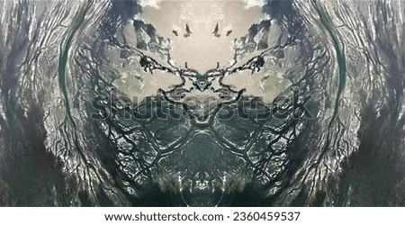 the hidden face of the forest,  abstract symmetrical photograph of the deserts of Africa from the air, conceptual photo, diffuser filter,