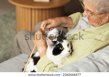 Senior woman with cute cat and knitting needles resting at home Royalty-Free Stock Photo #2360468477