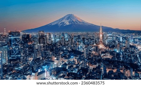 Tokyo City viewed from high up at sunset, Japan Royalty-Free Stock Photo #2360483575