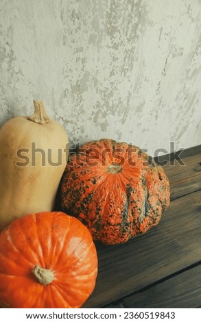 Pumpkins on a wooden table in front of an old wall. Halloween decorations. Autumn decorations for the house - decorative pumpkins. Royalty-Free Stock Photo #2360519843
