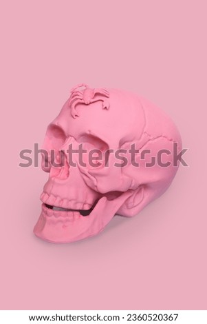 pastel pink skull with a scorpio on a pink background