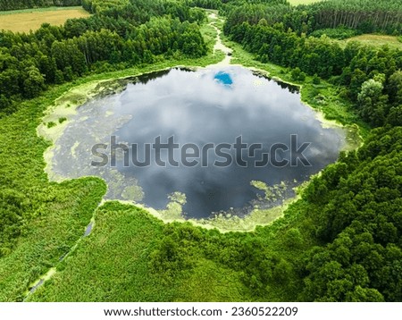 Aerial view of small lake and swamps in summer, Poland Royalty-Free Stock Photo #2360522209