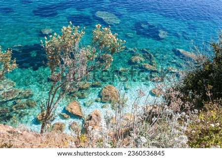 isola d'Elba, italy, a beautiful Island. Capo Bianco beach elba island drone Royalty-Free Stock Photo #2360536845