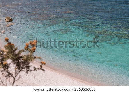 isola d'Elba, italy, a beautiful Island. Capo Bianco beach elba island drone Royalty-Free Stock Photo #2360536855