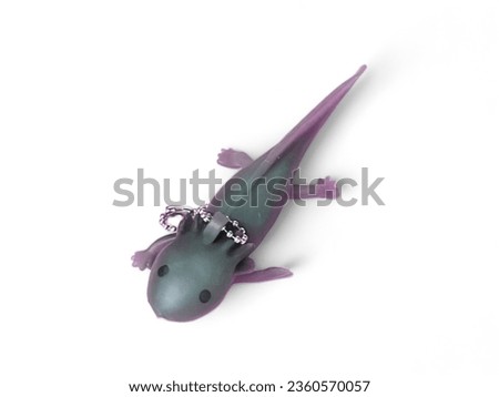 Miniature black Salamander animal on a white background