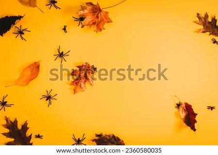 Halloween decorations concept. Halloween with spiders on orange background. Flat lay, top view, copy space