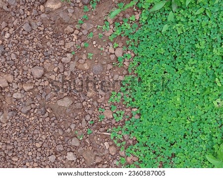 A photo of transition between greenery and barren land, greenery vs dry land. A photo with deep meaning showing the differences between two scenarios and unveiling a deep meaning and scene of duty. Royalty-Free Stock Photo #2360587005