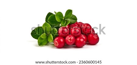 Wild cowberry, foxberry, lingonberry with leaves, isolated on white background. High resolution image. Royalty-Free Stock Photo #2360600145