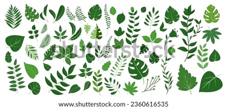 Green leaves big vector collection - Set of graphical elements with various leaf designs in different shapes and sizes. Flat design with white background