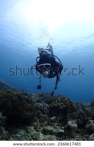 photos of diving in japan Royalty-Free Stock Photo #2360617481