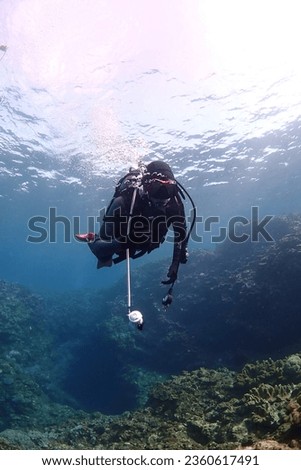 photos of diving in japan