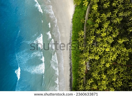 Tropical beach landscape scenery, Aerial drone shot of blue sea and coconut trees, Kerala nature beauty
