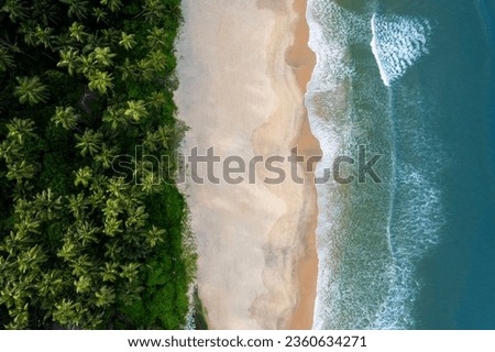 Aerial beach scenery from Kerala, Beautiful blue waves with coconut trees, tropical beach landscape Royalty-Free Stock Photo #2360634271