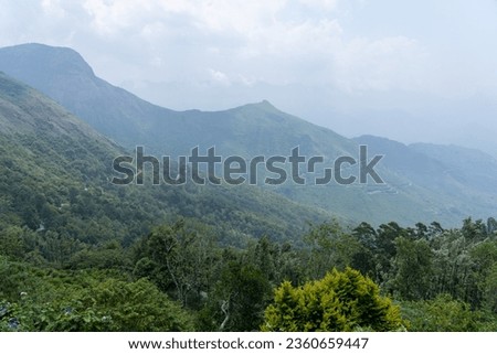 beautiful natural scenery dense jungle reserve forest woods cultivation wallpaper background mountain hilly terrain tourism mist fog valley slope afforestation conservation trees flora trekking 